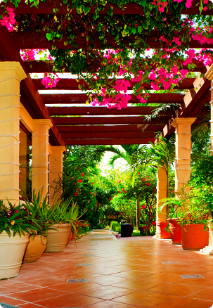 garden